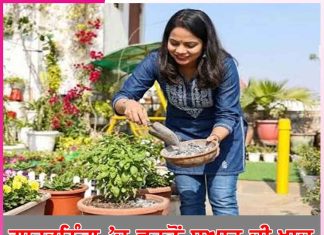 Ashes: ਗਾਰਡਨਿੰਗ ’ਚ ਵਰਤੋਂ ਸੁਆਹ ਦੀ ਖਾਦ
