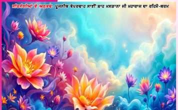 Experiences of Satsangis: ਬਸ ਕਰ! ਤੂੰ ਕੀ ਸਮਝਦਾ ਹੈ! -ਸਤਿਸੰਗੀਆਂ ਦੇ ਅਨੁਭਵ Experiences of Satsangis